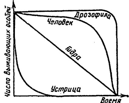 Чисельність і щільність популяцій