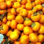 Що можна виростити на дачі в криму, крим на (крим) Що можна виростити на дачі в криму, крим на