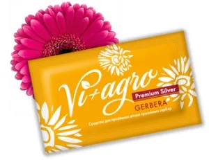 Що потрібно знати при зверненні з герберою, vi agro (герберою) Що потрібно знати при зверненні з герберою, vi agro