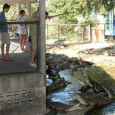Що потрібно зробити в Таїланді, asiasabai (Таїланді) Що потрібно зробити в Таїланді, asiasabai