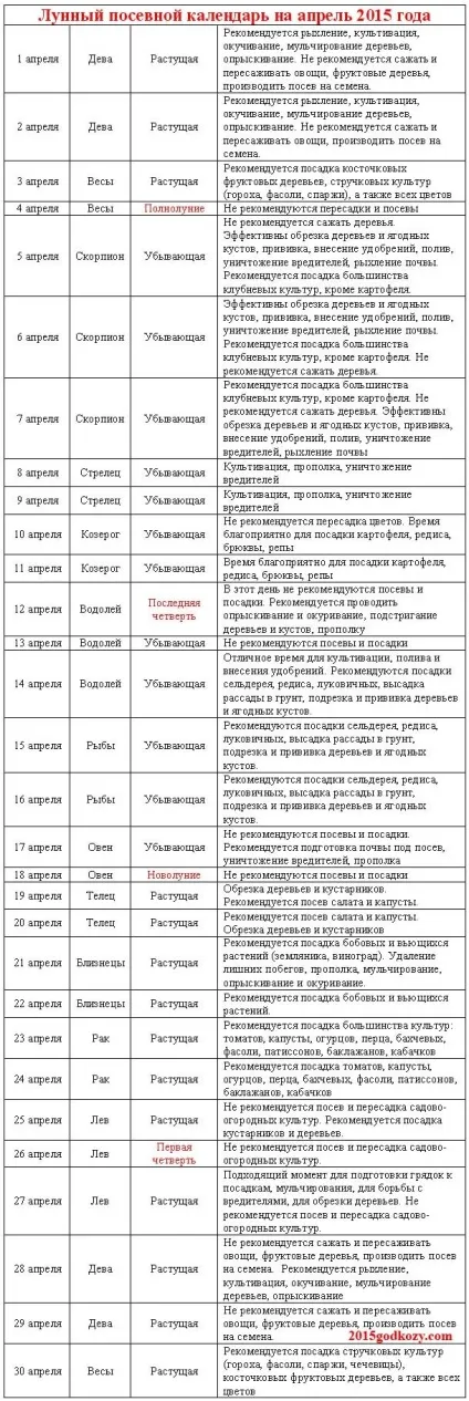 Що і коли садити в квітні 2015 роки (посадки овочів) Що і коли садити в квітні 2015 року