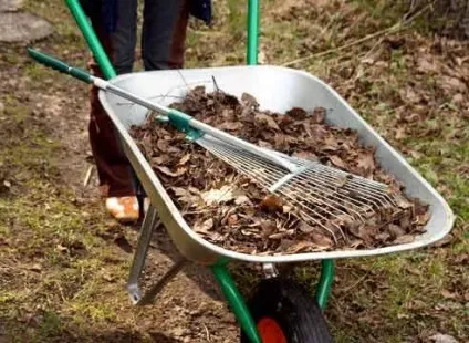 Що робити восени на дачі, це дача! (Восени) Що робити восени на дачі, це дача!