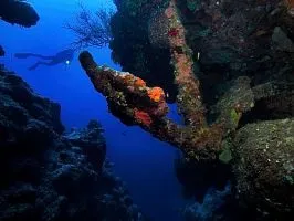 Секрети підводної зйомки - national geographic Україна (national) Секрети підводної зйомки - national geographic Україна