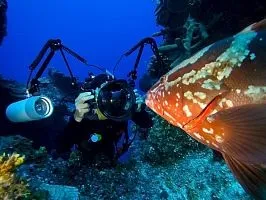 Секрети підводної зйомки - national geographic Україна (geographic) Секрети підводної зйомки - national geographic Україна