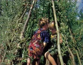 Курені і живі альтанки на дачі своїми руками (живі) Курені і живі альтанки на дачі своїми руками