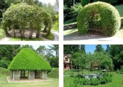 Курені і живі альтанки на дачі своїми руками (дачі) Курені і живі альтанки на дачі своїми руками