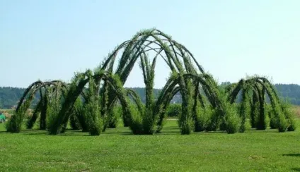 Курені і живі альтанки на дачі своїми руками (альтанки) Курені і живі альтанки на дачі своїми руками