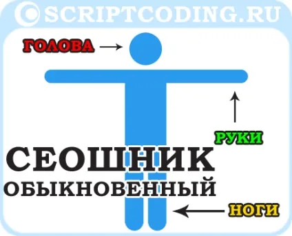 Сеошники - хто вони такі, чим харчуються і де живуть (такі) Сеошники - хто вони такі, чим харчуються і де живуть