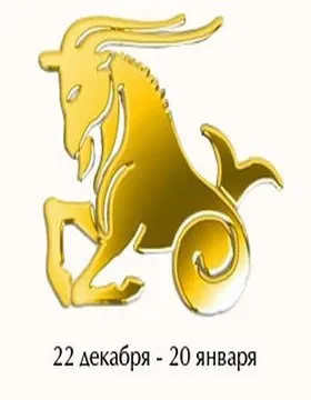 Що таке проектні тести