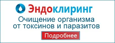 Що таке віола Вітрокка, або братки