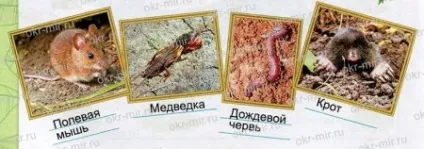 Що таке грунт (Плешаков, робочий зошит 3 клас 1 частина) (Плешаков) Що таке грунт (Плешаков, робочий зошит 3 клас 1 частина)