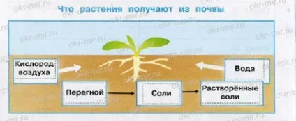 Що таке грунт (Плешаков, робочий зошит 3 клас 1 частина) (окр.мір) Що таке грунт (Плешаков, робочий зошит 3 клас 1 частина)