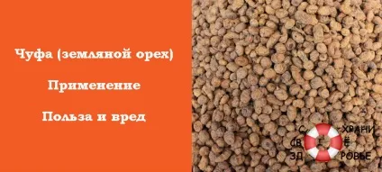 Чуфа (земляний мигдаль) корисні властивості, рецепти і шкоду (земляний) Чуфа (земляний мигдаль) корисні властивості, рецепти і шкода