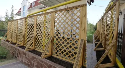 Що таке шпалерная сітка, її гідності