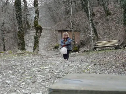 Що змушує людину йти в ліс від цивілізації