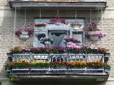 Квіти на балконі цілий рік, 13 фото квітучих балконів, вибір морозостійких і ампельних рослин (зимовий сад на балконі) Квіти на балконі цілий рік, 13 фото квітучих балконів, вибір морозостійких і ампельних рослин