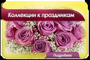 Квіти оптом з доставкою по всеУкаіни - enigma flowers