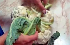 Цвітна капуста смажена в клярі (клярі) Цвітна капуста смажена в клярі