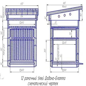 Дадановского вулик своїми руками креслення, розміри, матеріали, покрокова інструкція (руками) Дадановского вулик своїми руками креслення, розміри, матеріали, покрокова інструкція