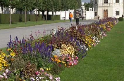 Квітники, я і ландшафтний дизайн (квітники) Квітники, я і ландшафтний дизайн