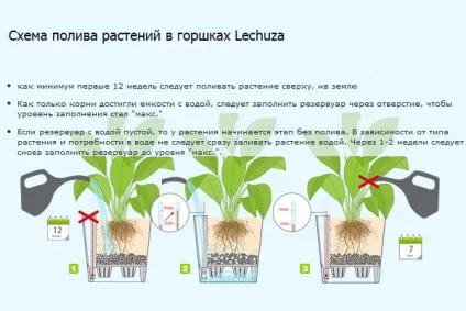 Квіткові горщики з автополивом coubi, lechuza, green apple (квіткові) Квіткові горщики з автополивом coubi, lechuza, green apple
