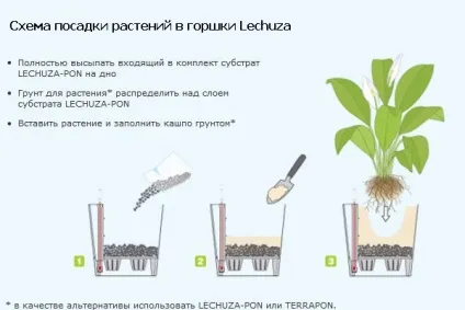 Квіткові горщики з автополивом coubi, lechuza, green apple (coubi) Квіткові горщики з автополивом coubi, lechuza, green apple