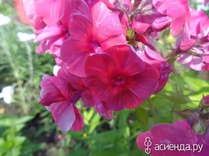 Нічого не вдієш, скоротати час з вами щоденник користувача sveta53230 (нічого) Нічого не вдієш, скоротати час з вами щоденник користувача sveta53230