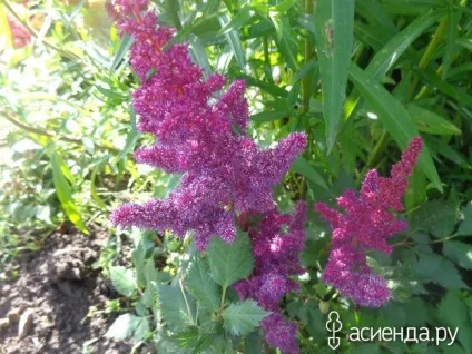 Нічого не вдієш, скоротати час з вами щоденник користувача sveta53230 (нічого) Нічого не вдієш, скоротати час з вами щоденник користувача sveta53230
