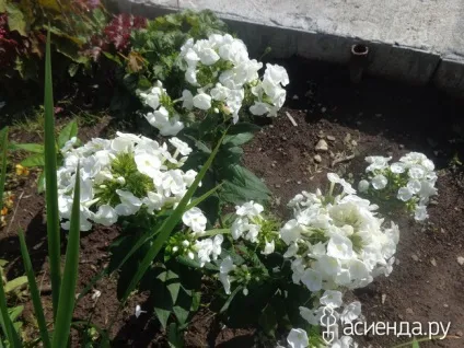 Нічого не вдієш, скоротати час з вами щоденник користувача sveta53230 (нічого) Нічого не вдієш, скоротати час з вами щоденник користувача sveta53230