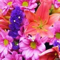 Дитячий гінеколог Дніпродзержинськ, шукаю, мітки медмістечко, офіційний, сайт, гінекологія, медмістечко (гінеколог Дніпродзержинськ Дитячий) Дитячий гінеколог Дніпродзержинськ, шукаю, мітки медмістечко, офіційний, сайт, гінекологія, медмістечко