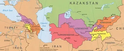 Дирофіляріоз у людини симптоми і лікування, фото (фото) Дирофіляріоз у людини симптоми і лікування, фото