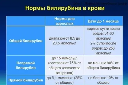 Дієта при підвищеному білірубіну в крові меню, рекомендації лікарів (дієта) Дієта при підвищеному білірубіну в крові меню, рекомендації лікарів