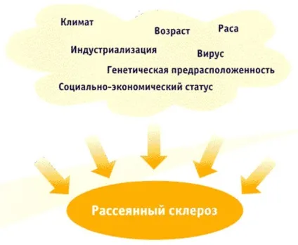 Дієта Ембрі (харчування) при розсіяному склерозі - меню, для схуднення, рецепти (дієта) Дієта Ембрі (харчування) при розсіяному склерозі - меню, для схуднення, рецепти