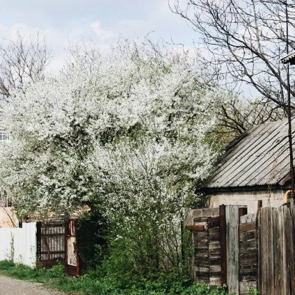 Щоденник подяки травень, вдоxновленная життям (життям) Щоденник подяки травень, вдоxновленная життям
