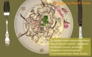 Дощові черв'яки їжа майбутнього Європи і справжнього азії (їжа) Дощові черв'яки їжа майбутнього Європи і справжнього азії