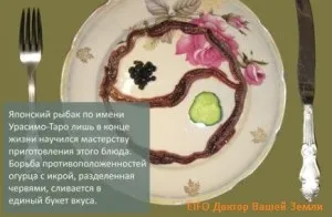Дощові черв'яки їжа майбутнього Європи і справжнього азії (черви) Дощові черв'яки їжа майбутнього Європи і справжнього азії