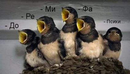 До-ре-мі (виктор Галінін)