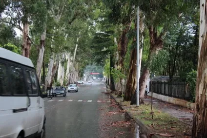 Дорога до Абхазії на машині наш звіт та відгуки, ще один чудовий крок (абхазия дорога) Дорога до Абхазії на машині наш звіт та відгуки, ще один чудовий крок