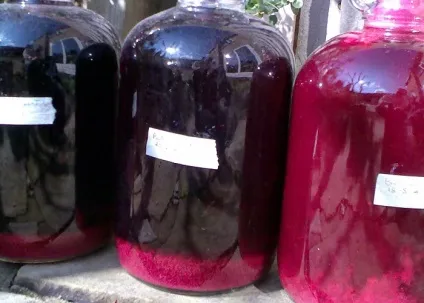 Домашнє вино зі смородини рецепти приготування саморобних вин з чорної, червоної і білої (вино) Домашнє вино зі смородини рецепти приготування саморобних вин з чорної, червоної і білої