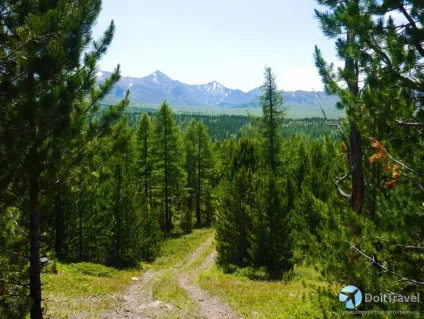 Пам'ятки гірського алтая, подорожуючи на машині (берег Телецкого озера) Пам'ятки гірського алтая, подорожуючи на машині