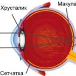 Двоїння в очах причини і способи лікування - лікування очей на дому