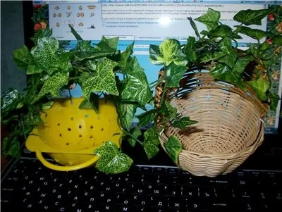 Дуплянки, гнізда, гніздові будиночки для амадин робимо самі - амадини, канарки та інші пернаті на (дуплянки) Дуплянки, гнізда, гніздові будиночки для амадин робимо самі - амадини, канарки та інші пернаті на