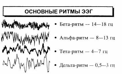 ЕЕГ дитині норми і порушення, розшифровка (центральної нервової системи) ЕЕГ дитині норми і порушення, розшифровка
