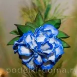 Ялинкові іграшки своїми руками, коробочка ідей і майстер-класів (іграшки) Ялинкові іграшки своїми руками, коробочка ідей і майстер-класів