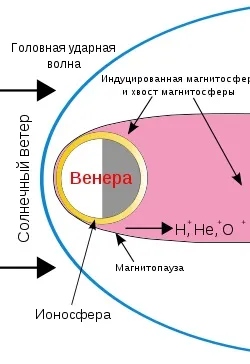 Екстремальна сестра землі