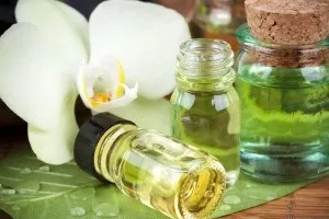 Ефірні масла при застуді - вибір і правила застосування (ефірні) Ефірні масла при застуді - вибір і правила застосування