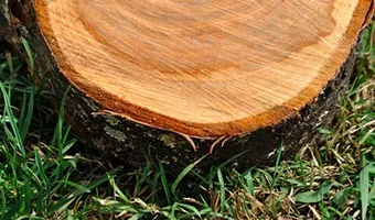 Esg »- акція! Будівництво будинків з клеєного бруса під ключ по спец (клеєного) Esg »- акція! Будівництво будинків з клеєного бруса під ключ по спец