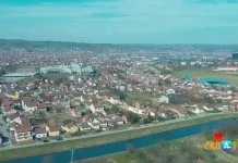 Ця собака застрягла в воротах і зневірилася ...