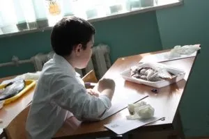 Природно-наукові класи - профільні класи (класи) Природно-наукові класи - профільні класи