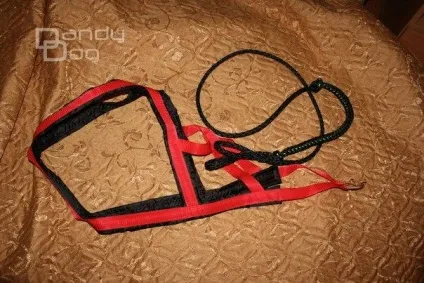 Їздові шлейки на замовлення (повідці для собак) Їздові шлейки на замовлення